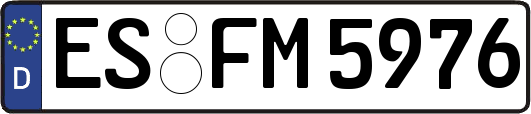 ES-FM5976