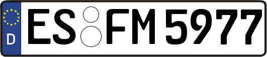 ES-FM5977