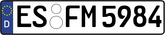 ES-FM5984