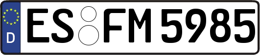 ES-FM5985