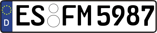 ES-FM5987