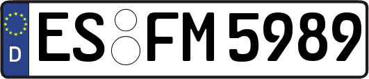 ES-FM5989