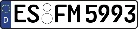 ES-FM5993