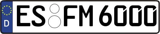 ES-FM6000