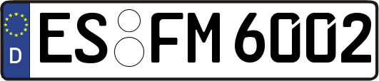 ES-FM6002