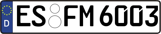 ES-FM6003