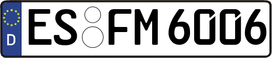 ES-FM6006