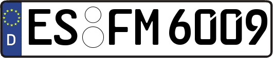 ES-FM6009