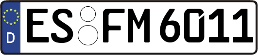 ES-FM6011