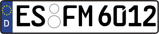 ES-FM6012