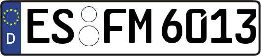 ES-FM6013