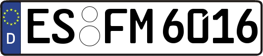 ES-FM6016