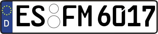 ES-FM6017