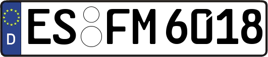 ES-FM6018