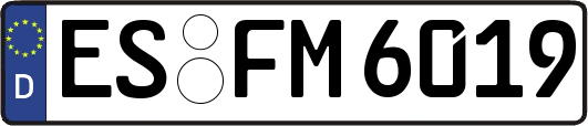 ES-FM6019