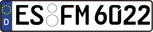 ES-FM6022
