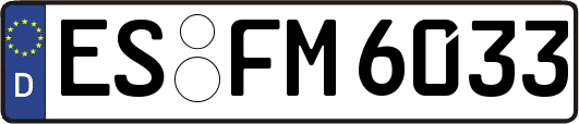 ES-FM6033