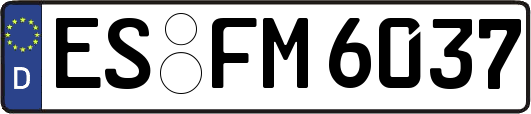 ES-FM6037