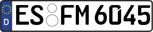ES-FM6045
