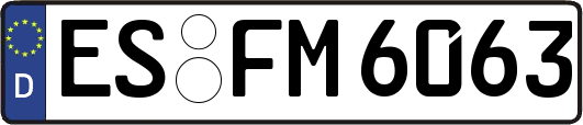 ES-FM6063
