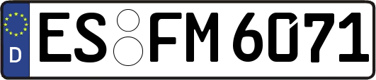 ES-FM6071
