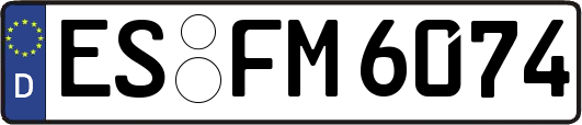 ES-FM6074