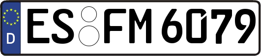 ES-FM6079
