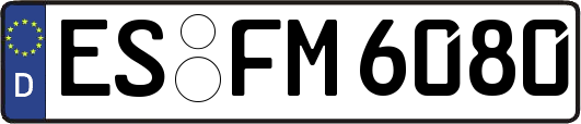 ES-FM6080