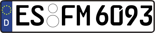 ES-FM6093