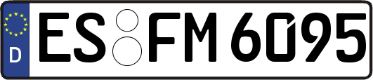 ES-FM6095