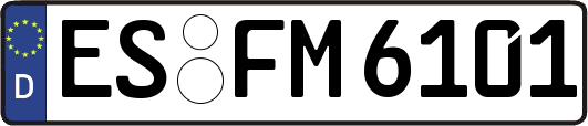 ES-FM6101