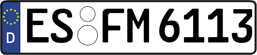ES-FM6113