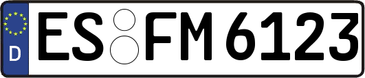 ES-FM6123