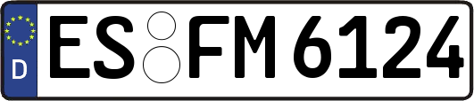 ES-FM6124