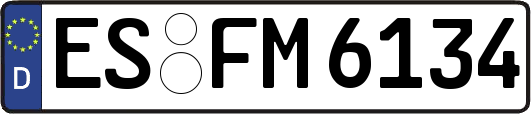 ES-FM6134