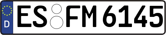 ES-FM6145