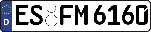 ES-FM6160