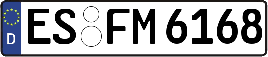 ES-FM6168