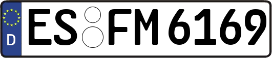 ES-FM6169