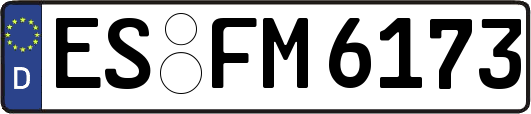 ES-FM6173