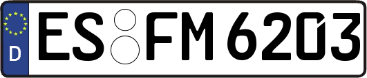 ES-FM6203