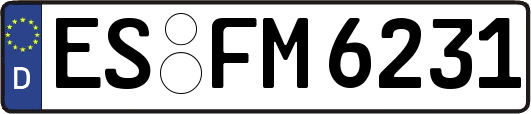 ES-FM6231