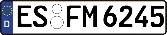 ES-FM6245