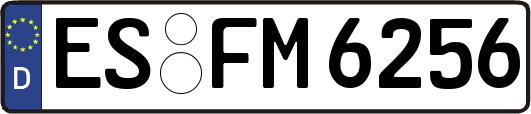 ES-FM6256
