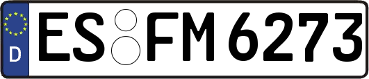 ES-FM6273