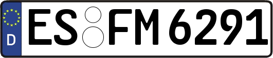 ES-FM6291