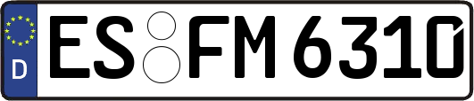 ES-FM6310