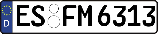 ES-FM6313