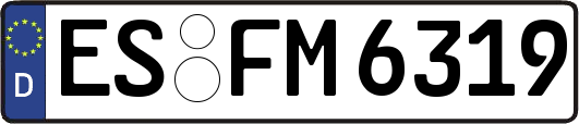 ES-FM6319