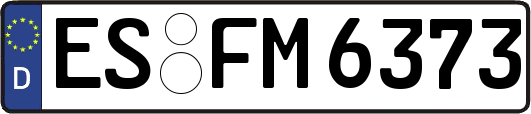 ES-FM6373